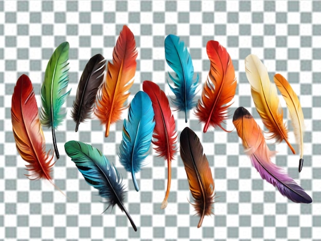 PSD vektor-realistische federn-farbsatz mit isolierten bildern von vogelfedern verschiedener farbe png