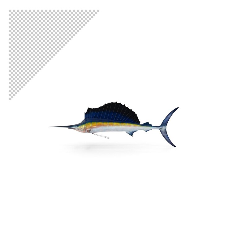 PSD veleiro png
