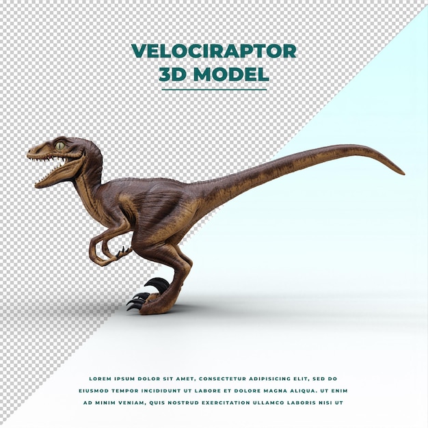 Velociraptor