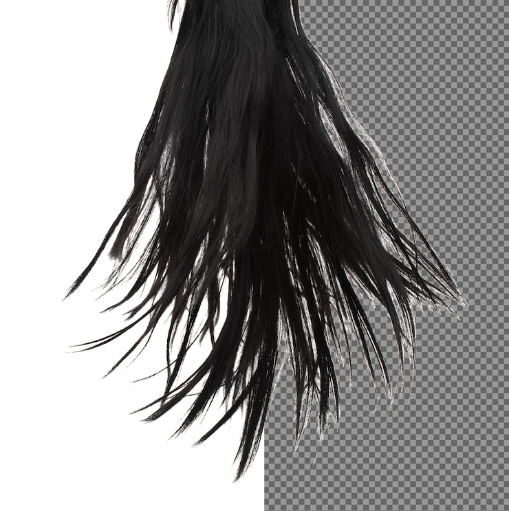 Vent souffle Long droit perruque style de cheveux chute volée femme brune perruque cheveux flottent dans le milieu de l'air droit brun noir perluque cheveux vent souffle nuage jeter fond blanc détail isolé mouvement