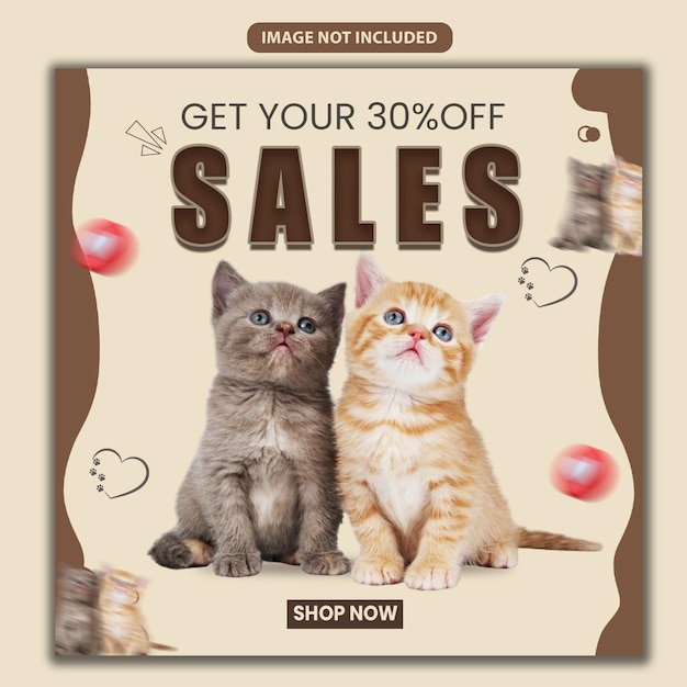 Ventas de gatos PSD promoción en las redes sociales y diseño de plantillas de publicaciones en Instagram