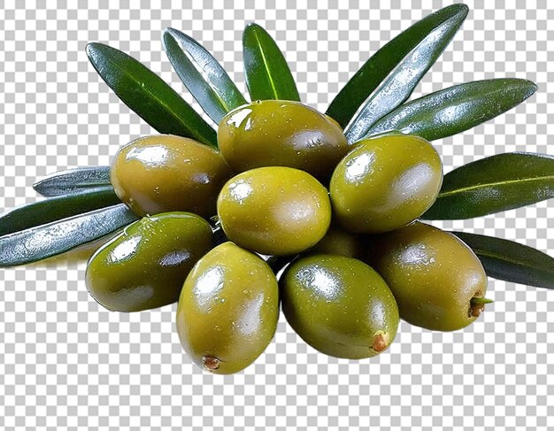 PSD verde oliva