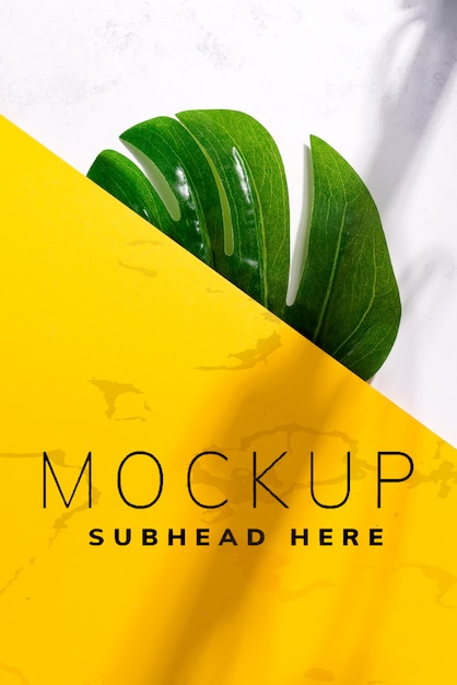 verde tropical Monstera folha sobre um fundo branco duotone amarelo com sombras suaves.