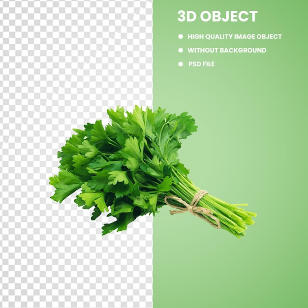 Verdure di prezzemolo