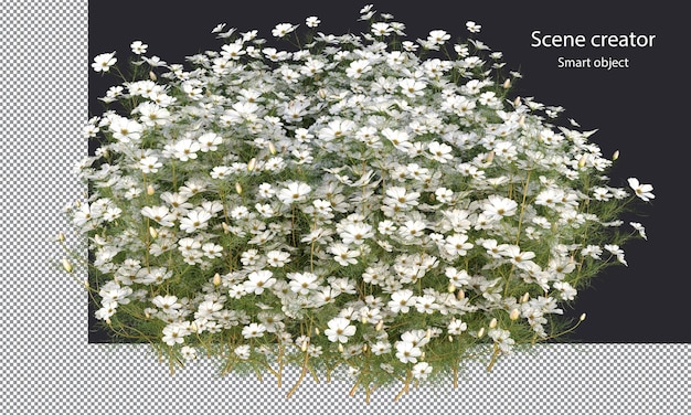 Verschiedene Arten von Bäumen, kleine Pflanzen, Büsche, Sträucher und Blumen, isolierte Wiedergabe