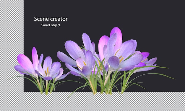 Verschiedene Arten von Bäumen, kleine Pflanzen, Büsche, Sträucher und Blumen, isolierte Wiedergabe