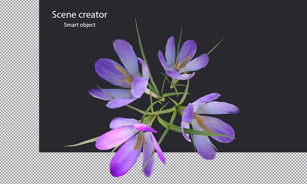 Verschiedene Arten von Bäumen, kleine Pflanzen, Büsche, Sträucher und Blumen, isolierte Wiedergabe