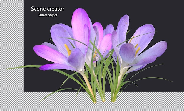 Verschiedene Arten von Bäumen, kleine Pflanzen, Büsche, Sträucher und Blumen, isolierte Wiedergabe
