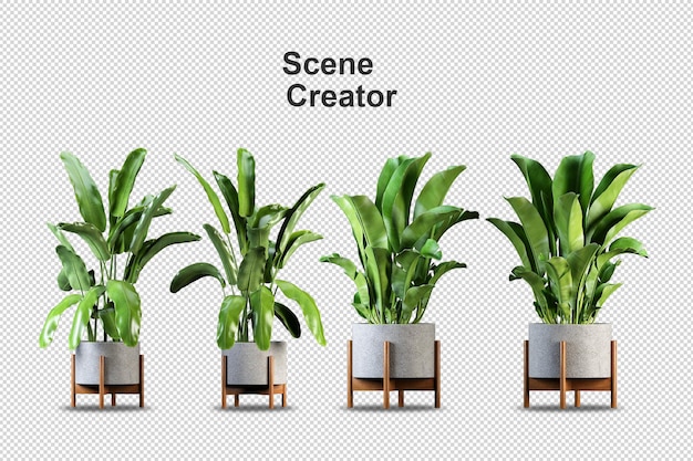 PSD verschiedene arten von bananenbaum-3d-rendering
