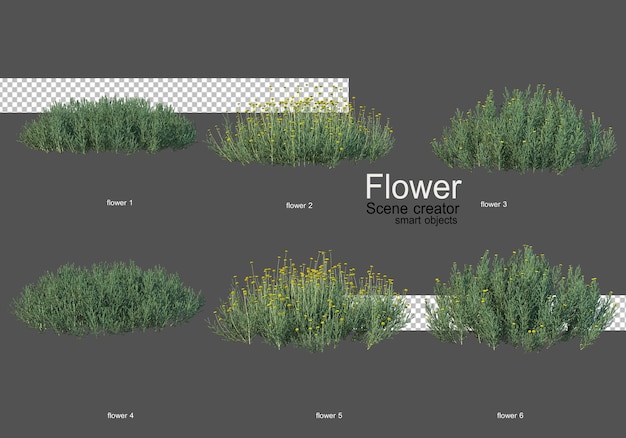 verschiedene arten von blumen verschiedene stile