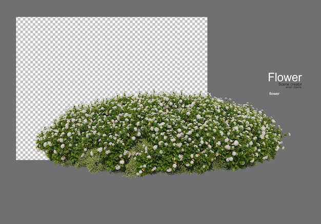 verschiedene Arten von Blumen