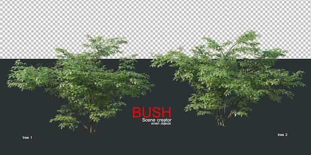 verschiedene Arten von Büschen
