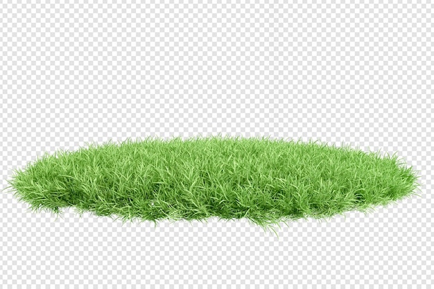 Verschiedene Arten von Gras, die isoliert werden