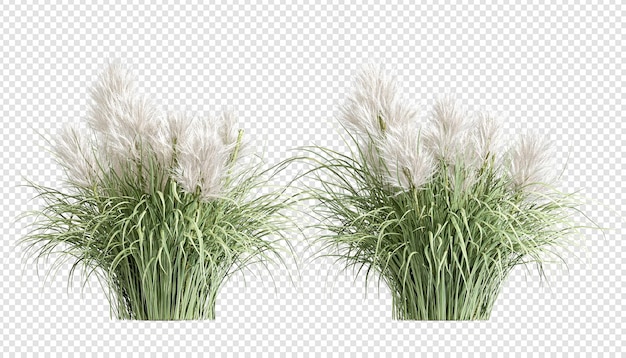 Verschiedene Arten von Gras-Rendering isoliert