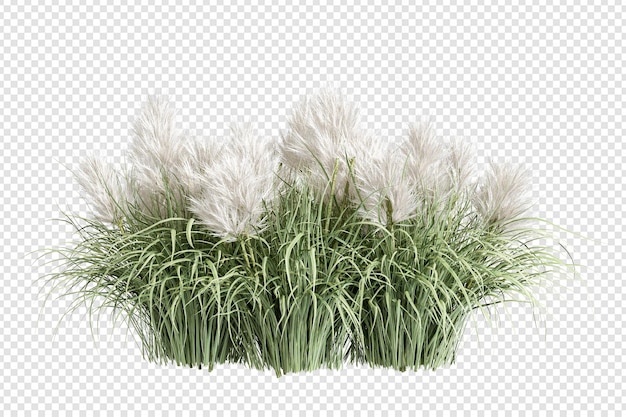 Verschiedene Arten von Gras-Rendering isoliert