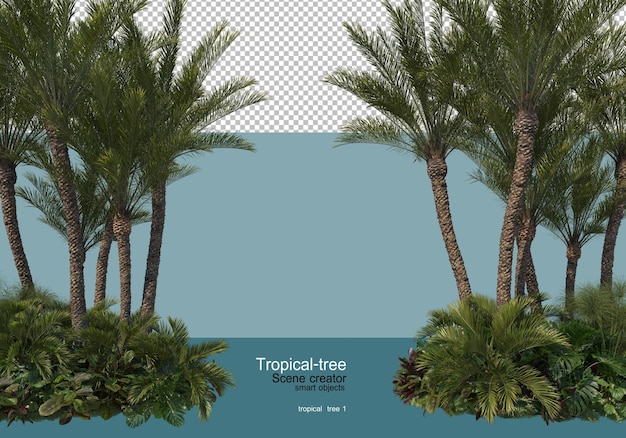 PSD verschiedene arten von tropischen bäumen