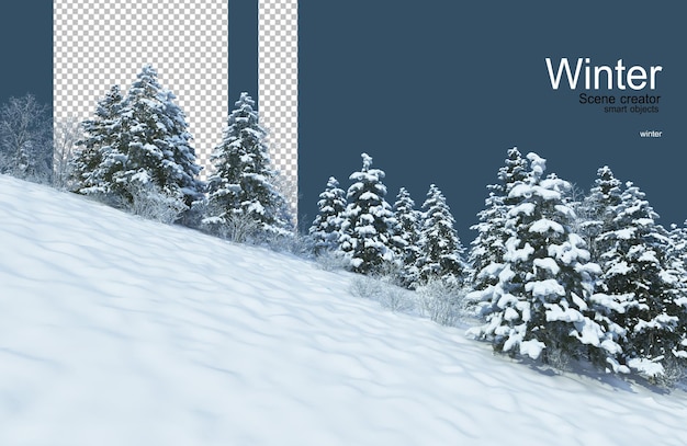 verschiedene Bäume im Winter