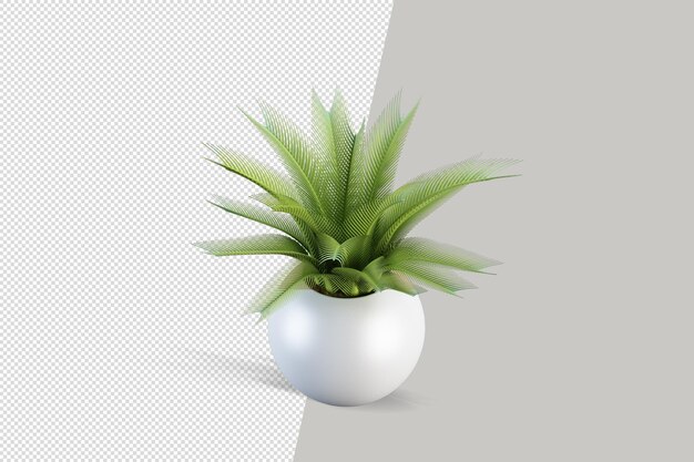 verschiedene Bäume in vollen schönen Blumen