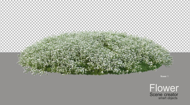 Verschiedene Blumenfarben