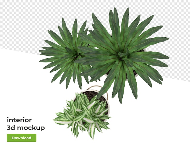 Verschiedene Dekorationsanlagen in Topf 3d Rendering