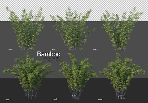 Verschiedene formen der bambuswiedergabe