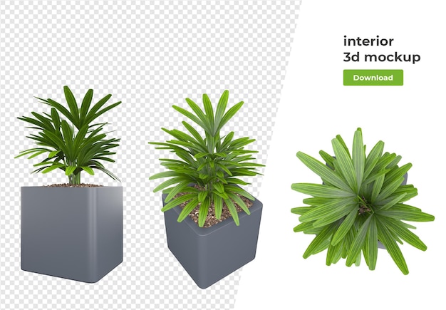 Verschiedene Pflanzendekorations-3D-Darstellung isoliert