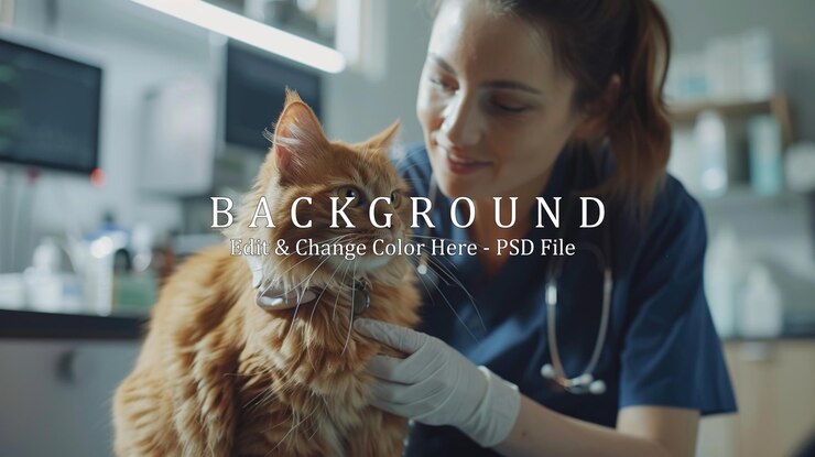 PSD veterinário examinando um gato roxo