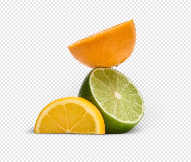 Vibrant citrus fruits slices composition