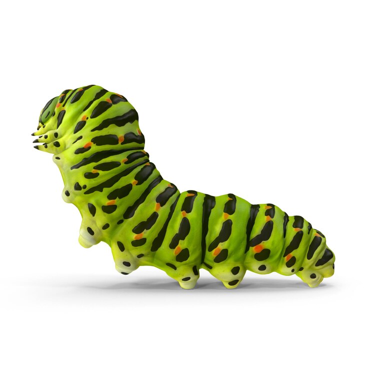PSD vibrant green caterpillar macro