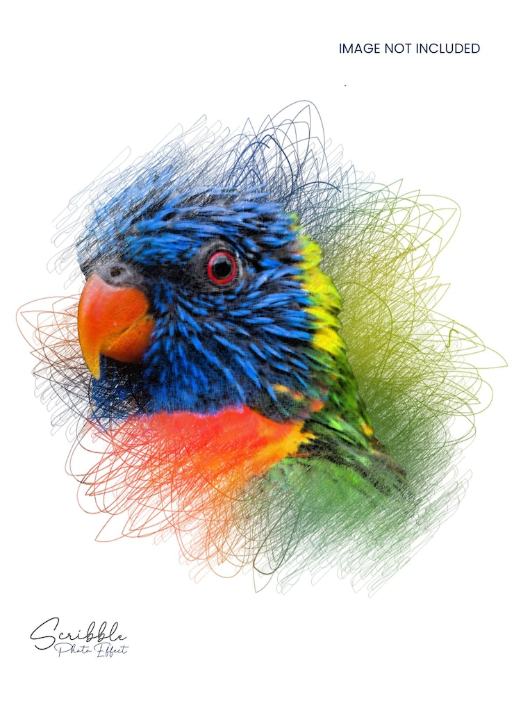 PSD vibrant parrot artwork with scribble effect