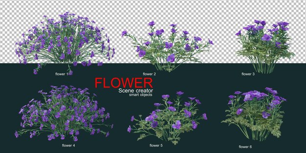 viele Arten von bunten Blumen