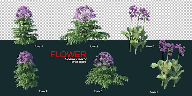viele Arten von bunten Blumen