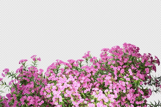 viele Arten von bunten Blumen