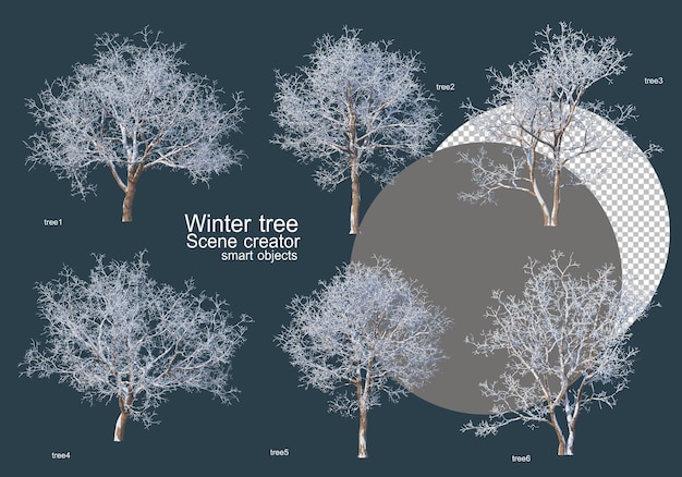 PSD viele baumarten im winter