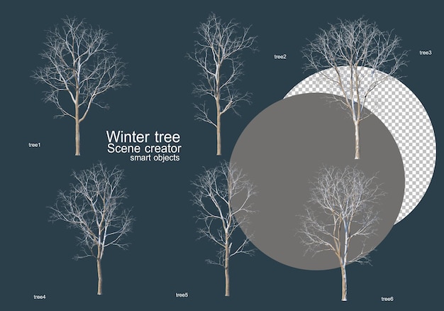 PSD viele baumarten im winter