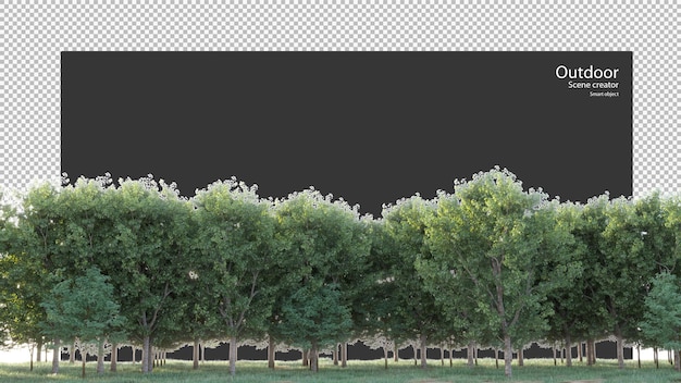 Vielzahl von bäumen und gras in 3d-rendering
