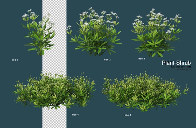 Vielzahl von Blumen und Sträuchern