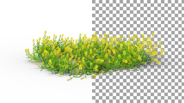 Vinca flor amarilla con sombra 3d render