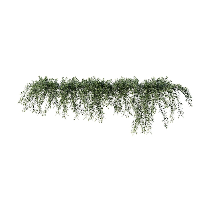 PSD vines climbing plants edge plants ivy wall plants
