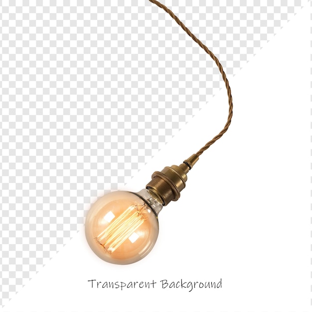 Vintage Edison Bulb Pendant Light su sfondo trasparente
