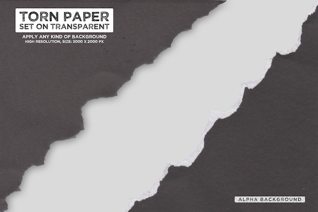 Vintage zerrissenes Papier Hintergrund