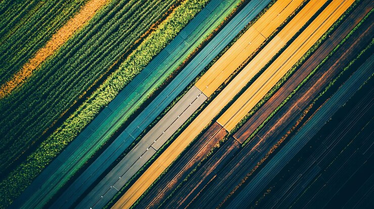 PSD vista aérea de campos agrícolas e estradas que se cruzam filas coloridas de colheitas e caminhos pavimentados que se cruzam