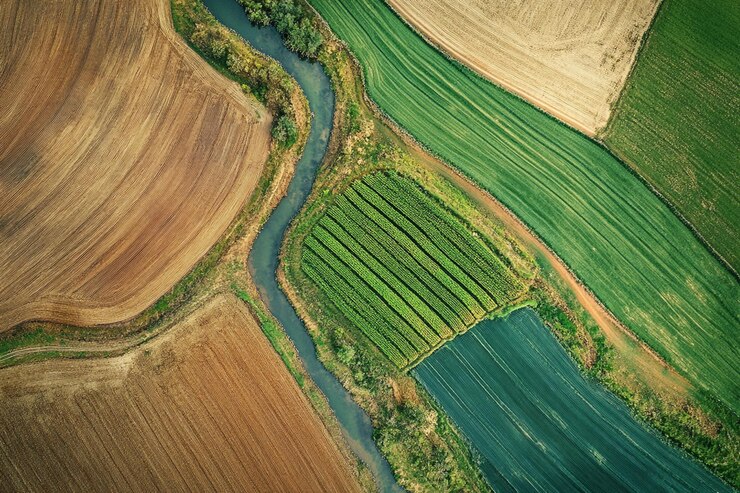 PSD vista aérea de terras agrícolas com um rio serpenteando entre várias culturas