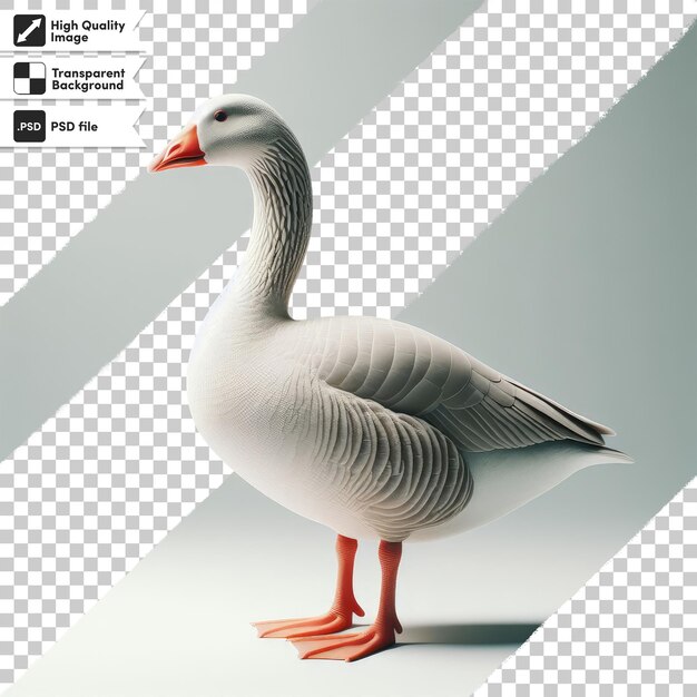 PSD vista del cuerpo completo de psd del ganso greylag solo en un fondo transparente con capa de máscara editable