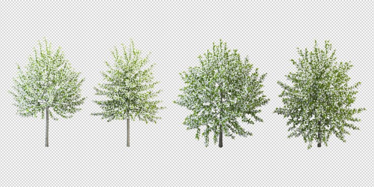 vista delantera de la planta en la olla en renderización 3D