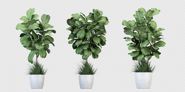 vista delantera de la planta en la olla en renderización 3D