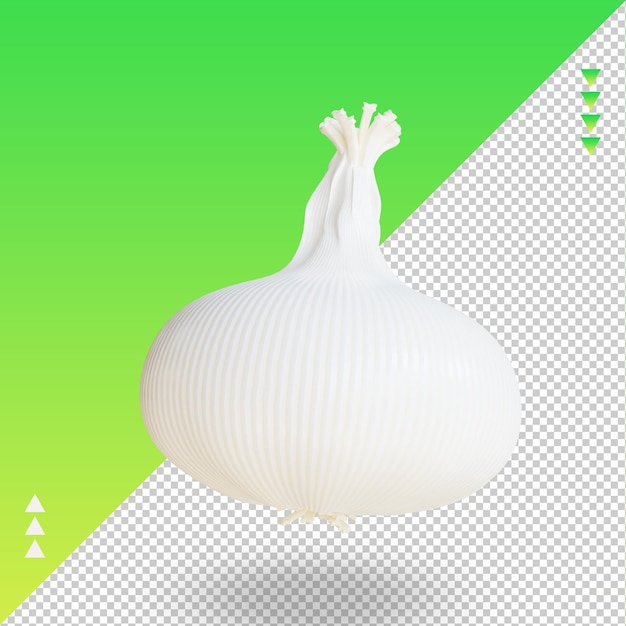 PSD vista derecha de renderizado de ajo vegetal 3d