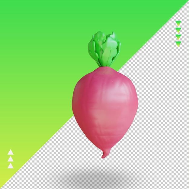 Vista direita de renderização de beterraba vegetal 3d