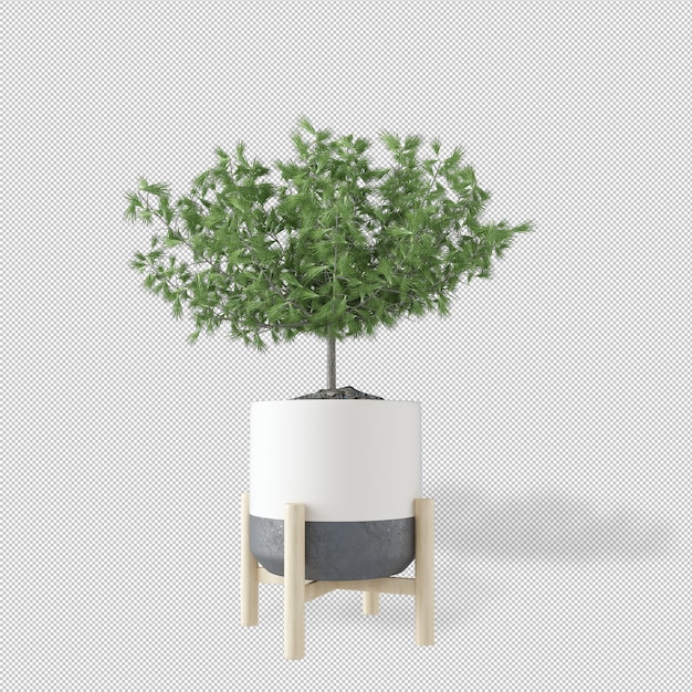 PSD vista frontal da planta em vaso em renderização 3d