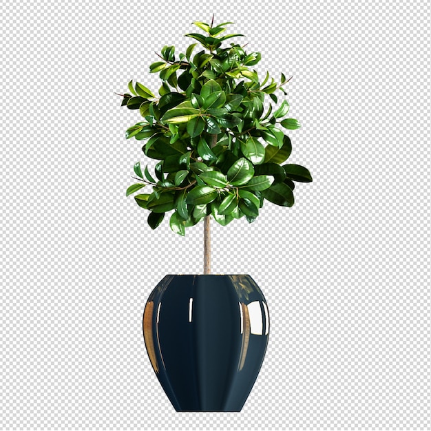 Vista frontal da planta em vaso na renderização em 3d